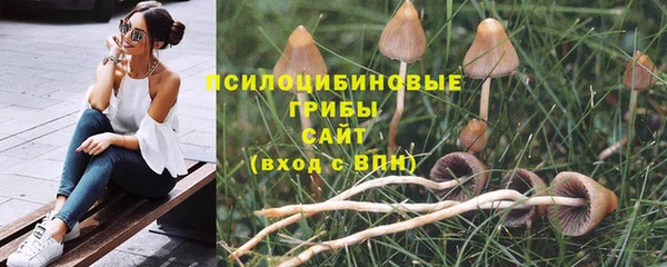 винт Алзамай