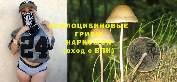 бошки Алексин