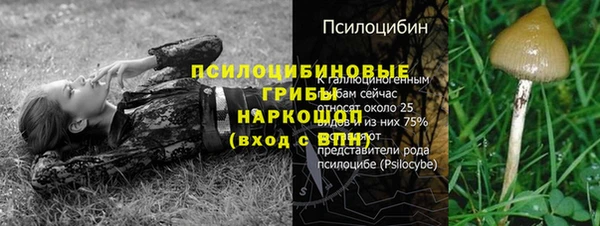 винт Алзамай
