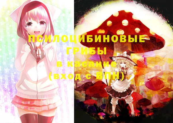 бошки Алексин
