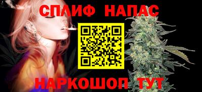 мдпв Ливны