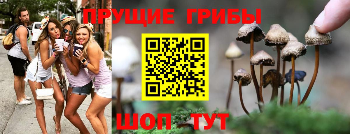 Галлюциногенные грибы MAGIC MUSHROOMS  Вход с VPN  Галлюциногенные грибы Psilocybe  Заводоуковск 