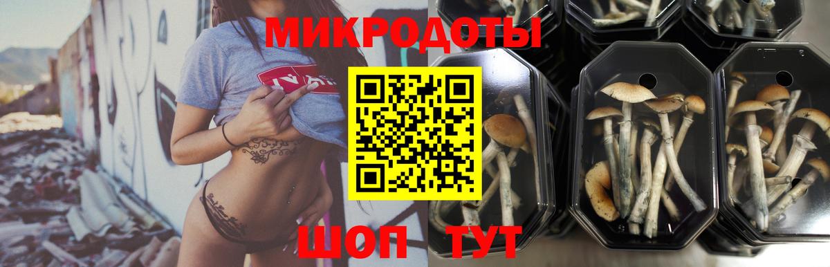 Галлюциногенные грибы Magic Shrooms Заводоуковск